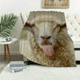 thumbnail image 4 of FCXZI Sheep Lightweight Fuzzy Flannel Blanket for All Seasons 60*80in, 4 of 7