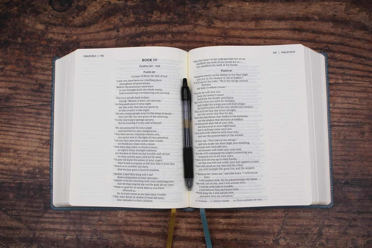 NIV Journal the Word Bible Niv, Journal the Word Bible (Perfect for Note-Taking), Large Print, Leathersoft, Teal, Red Letter, Comfort Print: Reflec, (Hardcover)