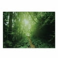 thumbnail image 1 of Landscape Cutting Board, Way in the Jungle of MalaysiRainforest Fresh Grass Trees Rural Morning Scenery, Decorative Tempered Glass Cutting and Serving Board, Small Size, Green, by Ambesonne, 1 of 1