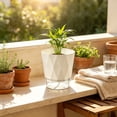 thumbnail image 6 of Medium Self Watering Flowerpot, Matte Octagonal Design for Desktop Mint Spider Plant, Worry Free During Travel Vacations, 6 of 6