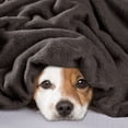 thumbnail image 6 of Shilucheng Fleece Blanket Throw, Cozy Fuzzy Throw Blankets, Soft Plush Bed Blanket Coffee, 60"x44", 6 of 9