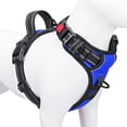 thumbnail image 1 of Chaleco reflectante PHOEPET con clip frontal y asa para perros, talla XL, 1 of 6