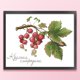 thumbnail image 3 of Hilo de bordar de algodón ecológico, Kit de punto de cruz con fruta impresa de 14CT, obra de arte de 32x27cm, 3 of 9