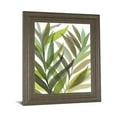 thumbnail image 1 of Classy Art 8289 22 x 26 in. Tropical Greens I by Rebecca Meyers Framed Print Wall Art, 1 of 1