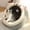 S (31X11.81X11.02inch), variant on Cute Cat Bed, Soft Breathable Sleeping Basket, Cozy Warm Cat House & Mat, All-Season Rest Nest, Comfortable Furniture for Small, Medium and Large Cats Indoor Use