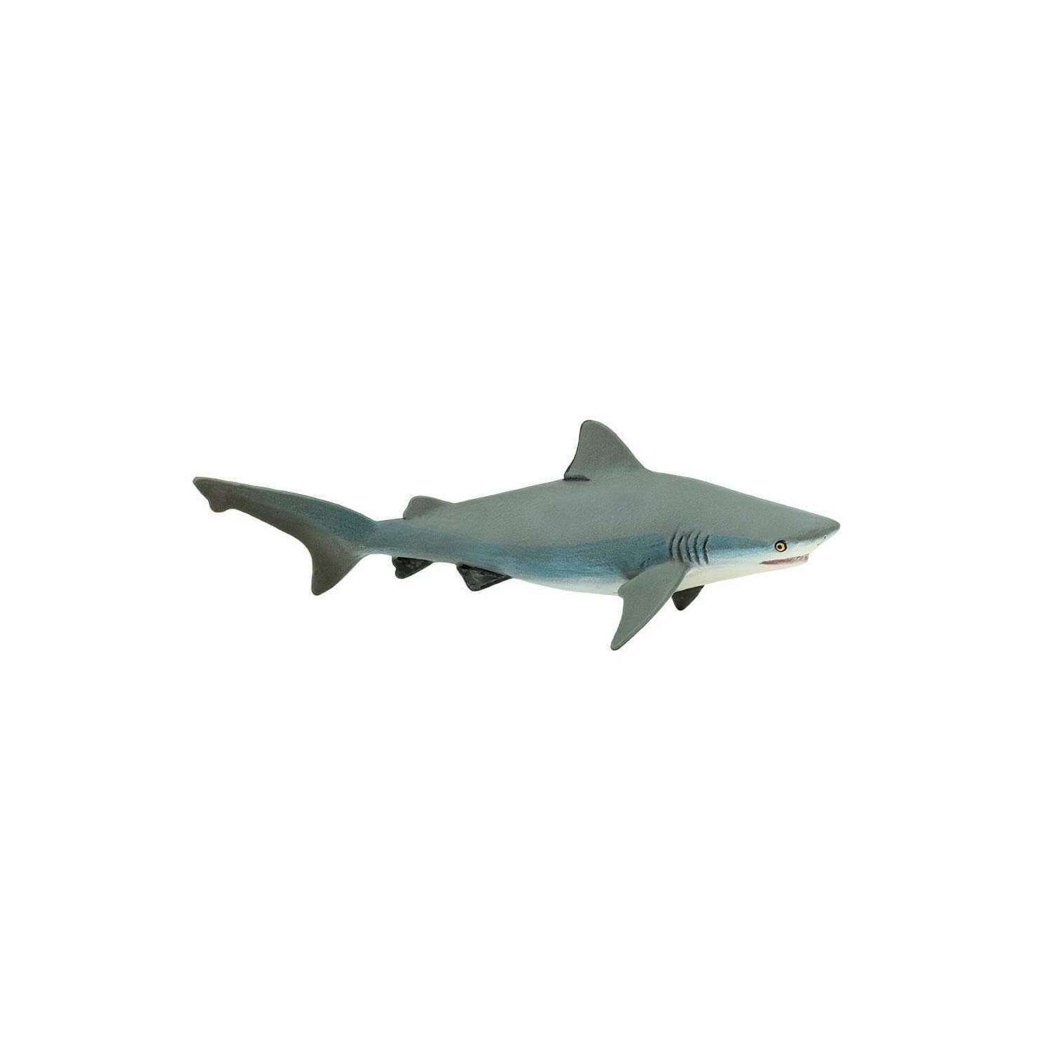 ★TIGER SHARK★ MAVEL MINI-BUST ☆TIGER SHARK☆ MAVEL MINI-BUST Tiger Shark Mini Morph Model