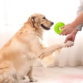 thumbnail image 4 of Jouet à Mâcher en Latex Durable pour Chiots Interactif pour la Dentition, 4 of 4