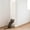 White M, variant on Cat Wall Climbing Wall Mat, Scratching Pad for Indoor Cats, Tall Paw Wall Affixed Tough No Debris Scratching Pad Wall, Scratcher for Furniture Couch Sofa Protecto Wall surface