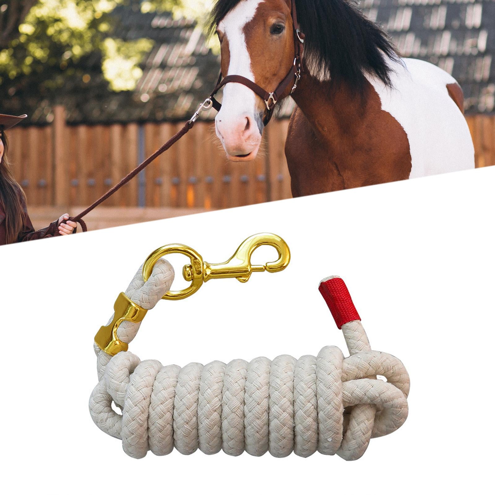 Almencla Corde de Plomb de Cheval avec Boulon Snap pour Cheval d
