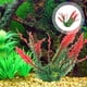 thumbnail image 4 of KAKOWELY 2 piezas de plantas para acuario, plantas decorativas para acuarios, plantas para peces Betta., 4 of 5