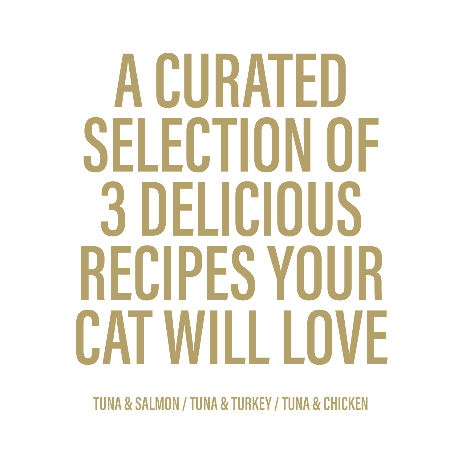 Chewer's Joy Tuna & Salmon, Tuna & Turkey, Tuna & Chicken Wet Cat Food Variety Pack, High Protein, 12 Cans (85g)