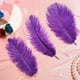 thumbnail image 3 of Plumas de avestruz Berlune, color morado, 30-35 cm, 150 unidades, 3 of 6
