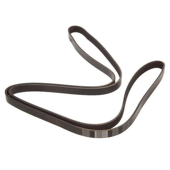 Multi Rib Belt - Compatible with 2001 - 2006, 2015 - 2019 Chevy Silverado 2500 HD 6.0L V8 2002 2003 2004 2005 2016 2017 2018