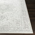 thumbnail image 3 of Surya Contempo CPO-3842 Area Rug 2'7" x 7'10", 3 of 7