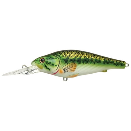 Largemouth Bass Crankbait,natural/matte,6