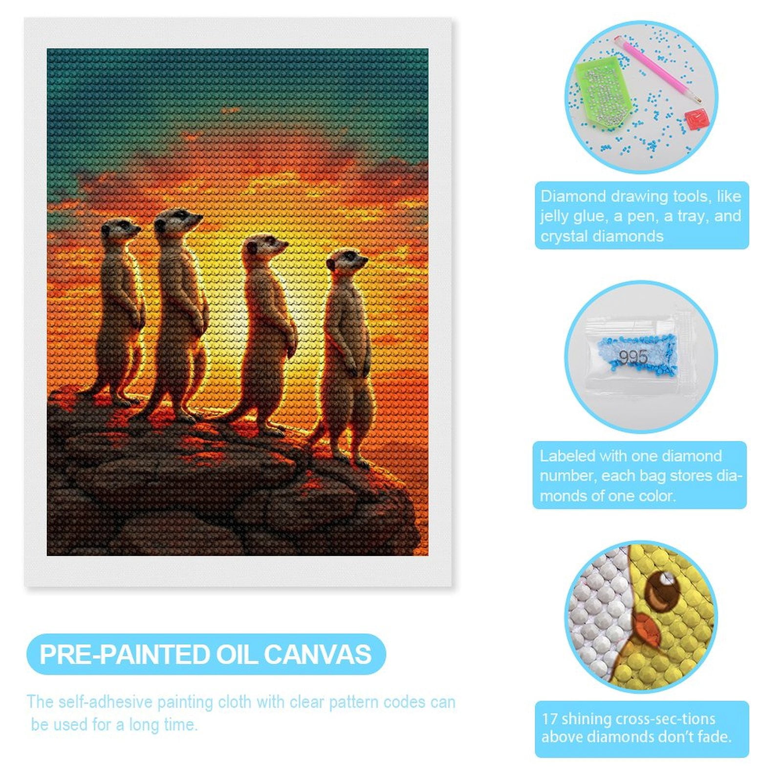 Diamond Art Kits for Adults - Meerkats Sunset Rock Formation 5d Diamond Painting for Adults, Diamond Art for Adults Beginners, Frameless Diamond Painting Kits for Adults for Home Wall Decor
