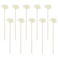 thumbnail image 2 of 10 varillas difusoras de aroma de flores de ratán con accesorios de aroma floral, 2 of 8