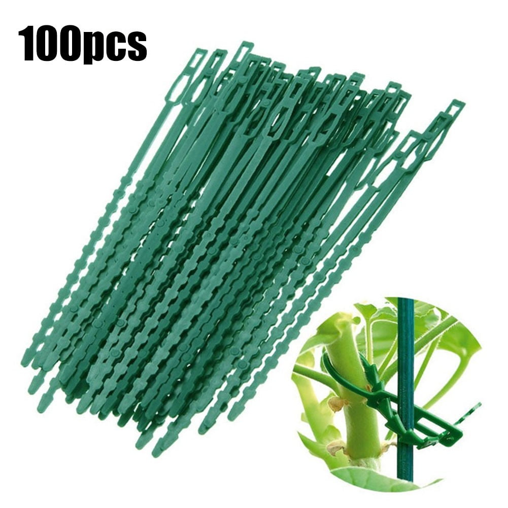 QIFEI 100Pcs Adjustable Plant Ties Flexible Garden Plant Ties, Green