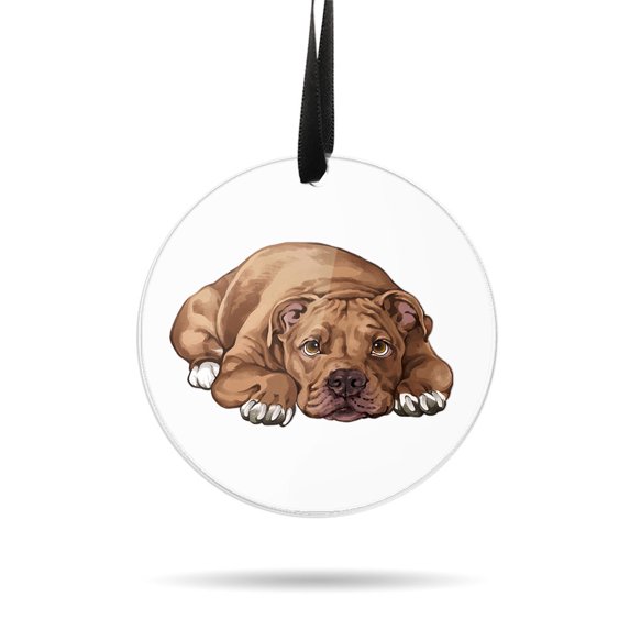 WIRESTER Large 3 inch Acrylic Ready to Hang Ornament, Hanging Ornaments for Christmas Tree Holidays Party Home Office Xmas Tree Decoration Gift - American Pit Bull Terrier Dog Lying Down Looking Up