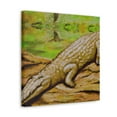 thumbnail image 5 of "Crocodile in the Swamp" - Canvas, 5 of 25