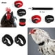 thumbnail image 2 of Collar de pollo Sunnimix Anti Ruido Collar de gallo anti cuervo, 2 of 7