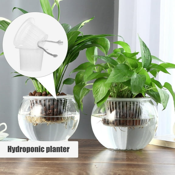 Raindrops Gardening Cups Transparent Plastic 1 Hydroponic Containers Indoor Planting