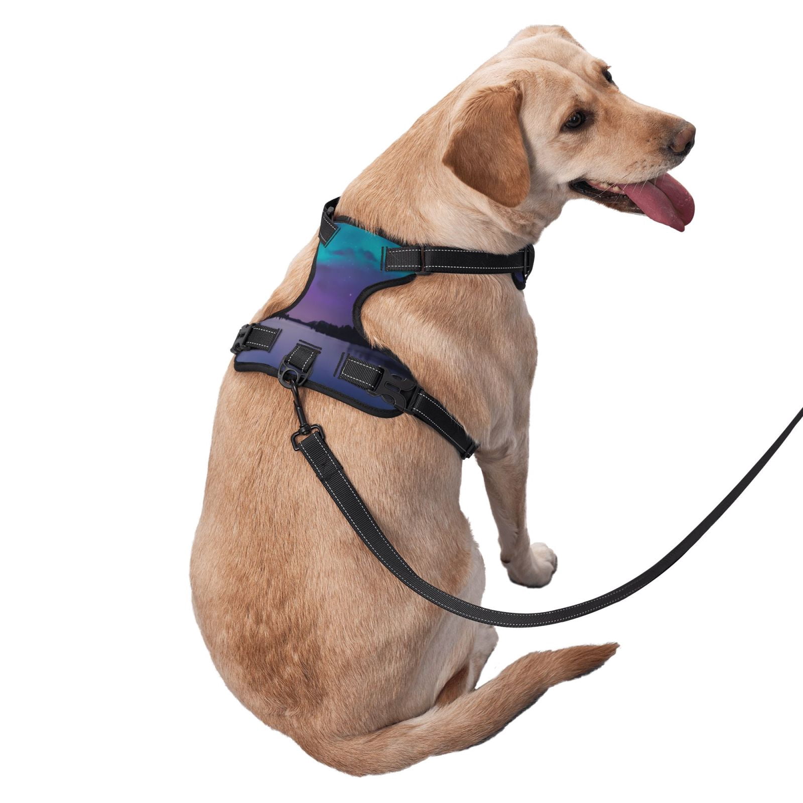 Vsdgher Night At Lake Aurora Dog Harness, No-Pull Pet Harness, Dog Vest, Pet Vest for Small to Large Dogs-Large