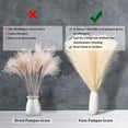 thumbnail image 4 of 6PCS Faux Pampas Grass 17"/43cm Artificial Pompous Grass Fake Pompass Branches Vase Filler Flower Arrangement for Home,Living Room, Kitchen, Wedding ,Boho Decor ( Beige), 4 of 8
