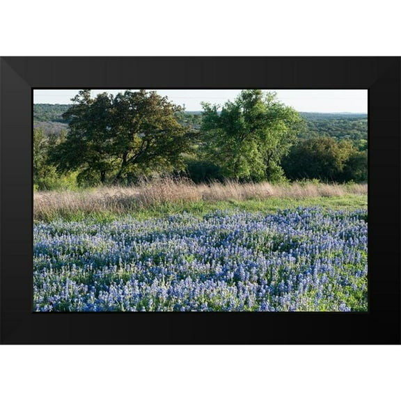 Highsmith, Carol 14x11 Black Modern Framed Museum Art Print Titled - Bluebonnets-the State Flower-near Marble Falls in the Texas Hill