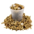 thumbnail image 6 of Gardenera Labs Premium Pothos Potting Soil Mix - Air Cleaning Plant Potting Mix, Soil Mix for Pothos, Parlor Palm, Peace Lily - (2 Quart Bag), 6 of 7
