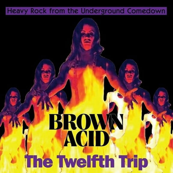 Various Artists - Brown Acid - The Twelfth Trip - Vinyl