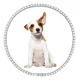 thumbnail image 1 of Collar De Perro Cadena De Perro Con Diamantes Cubanos Cadena, 1 of 7