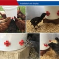 thumbnail image 5 of Xihbxyly Bebedero Automático para Pollos, Sistema de Resorte Integrado, Seguro y Fácil de Usar, Práctico Bebedero para Aves, Ideal para Granjas, Juego de 5 Piezas, Rojo, Plástico., 5 of 5