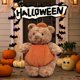 thumbnail image 2 of Jellycat2025 Halloween nuevo producto Barcelona calabaza oso berenjena conejo de orejas largas muñeco de peluche, 2 of 5