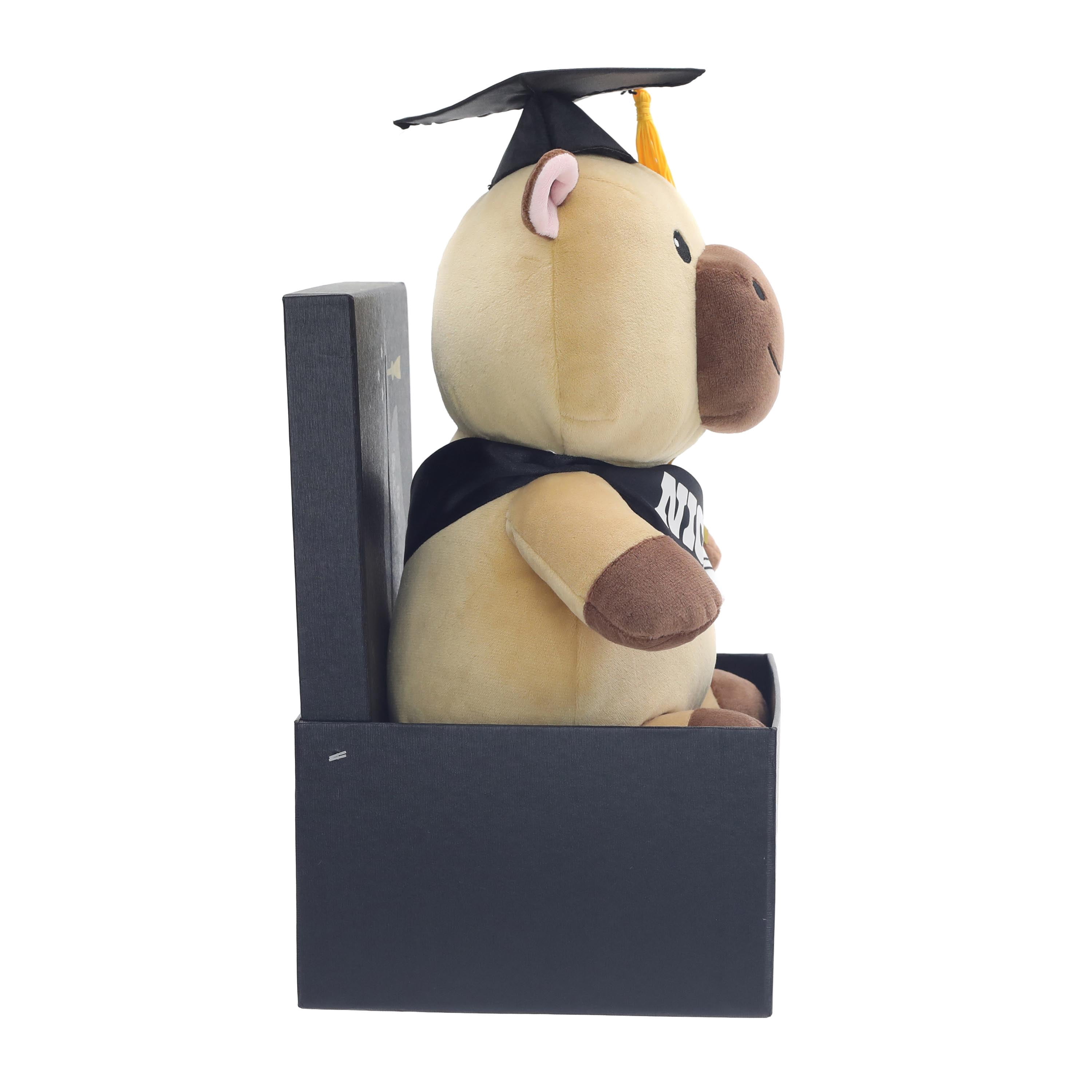 Peluche capybara de la promotion 2026, en coffret cadeau, par Way to Celebrate