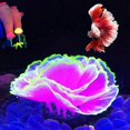 thumbnail image 1 of Decorative Resin Coral for Aquarium - Glowing Effect - Purple, 1 of 5