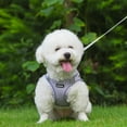 thumbnail image 4 of AIITLE Dog Harness and Leash Set, No Pull Step in Puppy Harness with Breathable Mesh, Reflective Puppy Essentials for Outdoor Walking, Training for Extra Small and Small Dogs, Cats Purple XS, 4 of 8