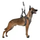 thumbnail image 1 of Set Arnés Y Correa Para Perros Grandes Resistente 2.5mts Dog, 1 of 8