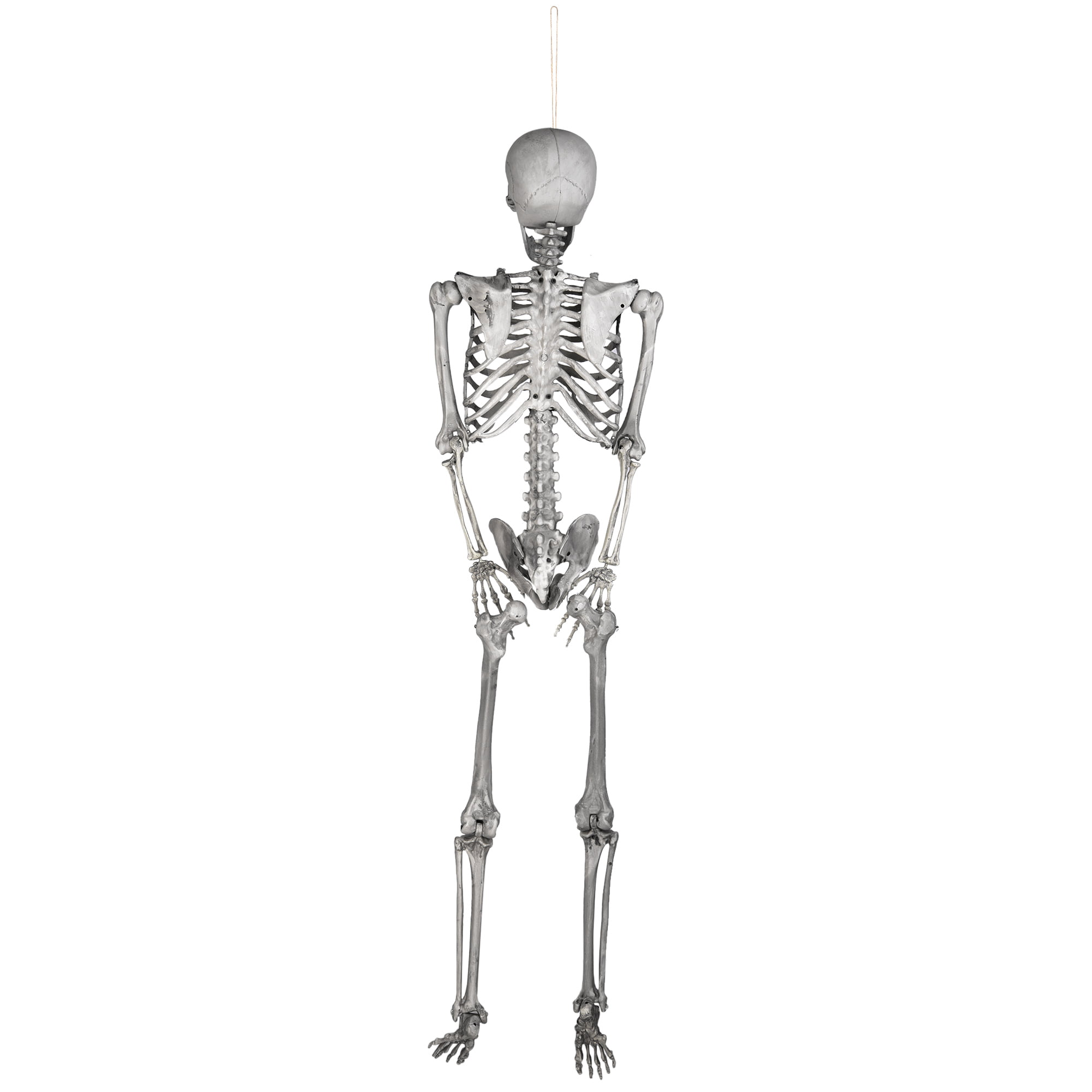19" Posable Skeleton with Movable/Posable Joints For Best Halloween Decoration 