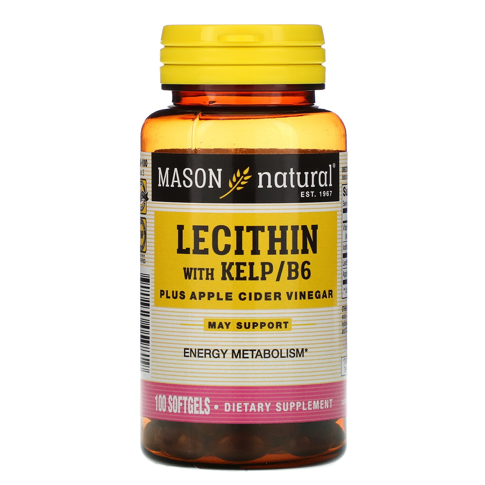 Mason Vitamins Mason Natural Lecithin, 100 ea