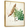 thumbnail image 3 of Designart 'Ancient Botanicals IX' Farmhouse Framed Canvas Wall Art Print, 3 of 5