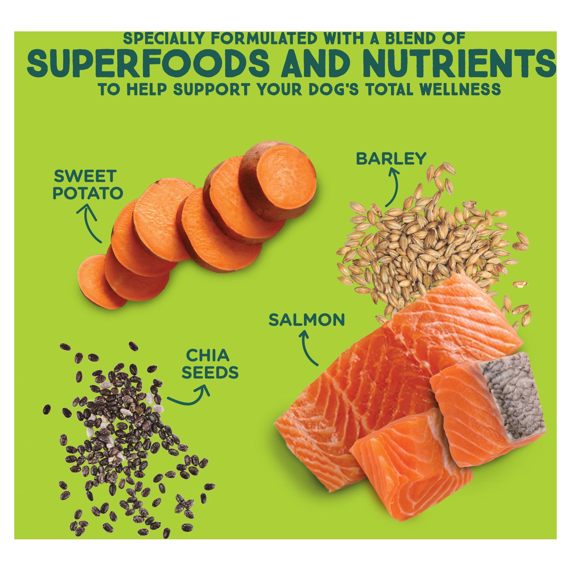 Rachael Ray Nutrish SuperMedleys Wellness Blend Superfoods & Chicken Recipe, Dry Dog Food, 22 lb (Packaging May Vary)