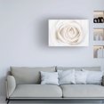 thumbnail image 2 of Trademark Fine Art 'White Rose' Canvas Art by Cora Niele, 2 of 4