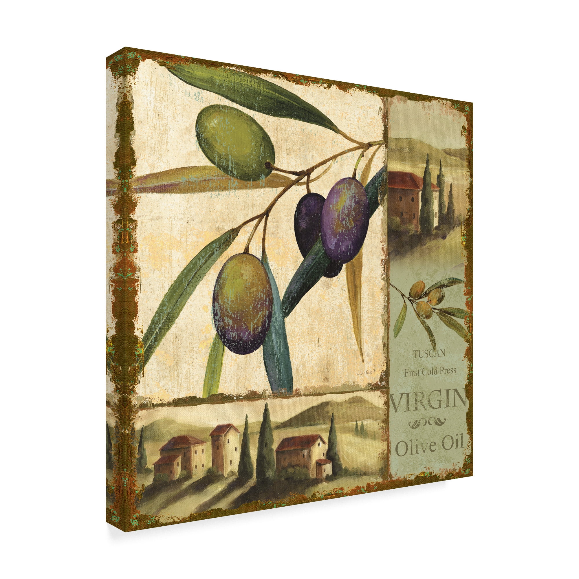 Trademark Fine Art 'Tuscan Delight II' Canvas Art by Lisa Audit