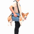 thumbnail image 1 of Mochila de emergencia Coodeo Dog Carry Sling, soporte L, azul, 1 of 7