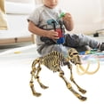 thumbnail image 1 of Modelo de esqueleto de dinosaurio, modelo de huesos de esqueleto de dinosaurio, juguete de dinosaurio, juguete de dinosaurio para niños, construcción robusta, 1 of 8