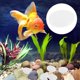 thumbnail image 1 of unbranded 100Ud Guijarros Para De Peces En Acuario Con Piedra Natural Pulida Y Durable, 1 of 6