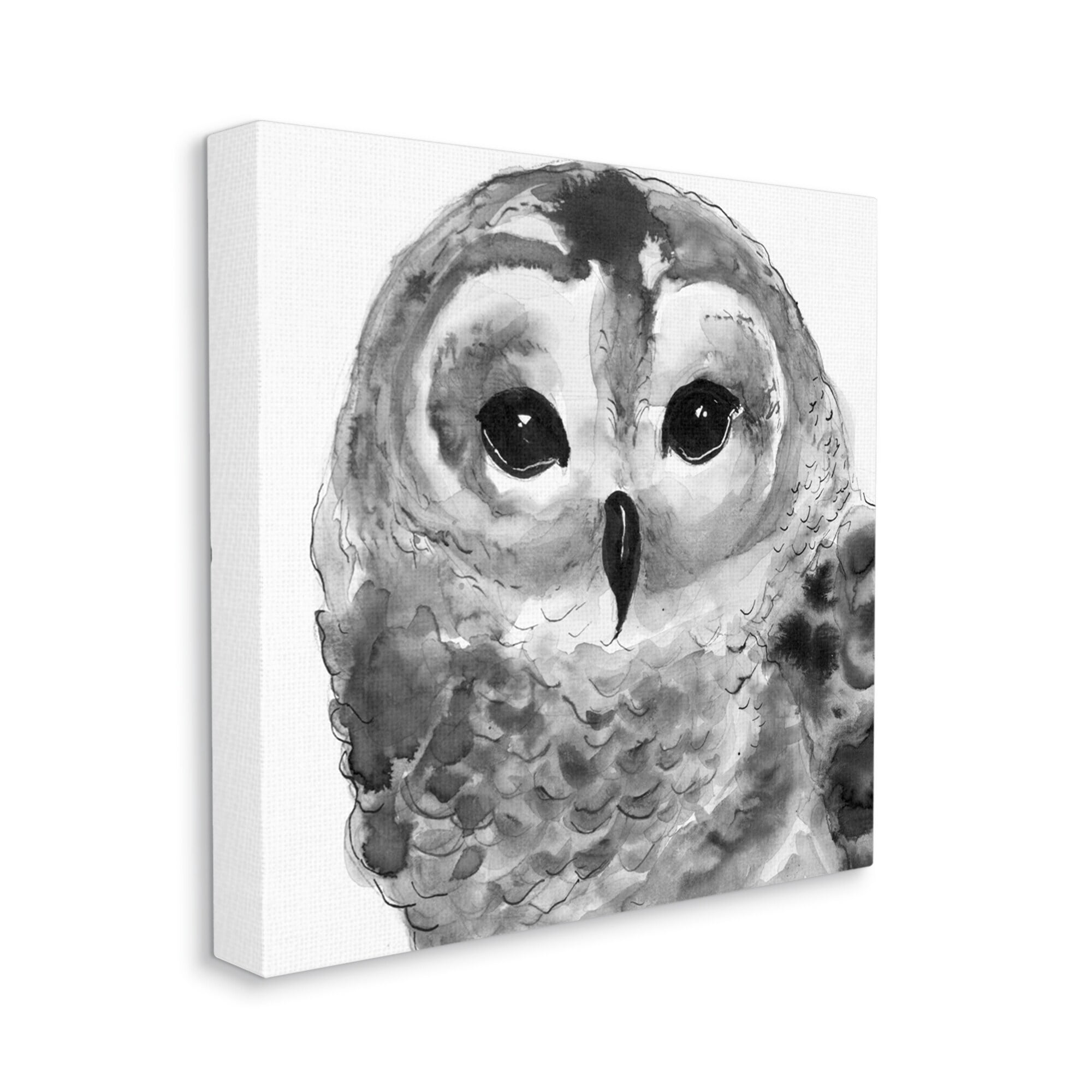 Stupell Industries Tranquil Barn Owl Bird Face Portrait Painting Painting Gallery Wrapped Canvas Print Wall Art, Design by Patti Mann