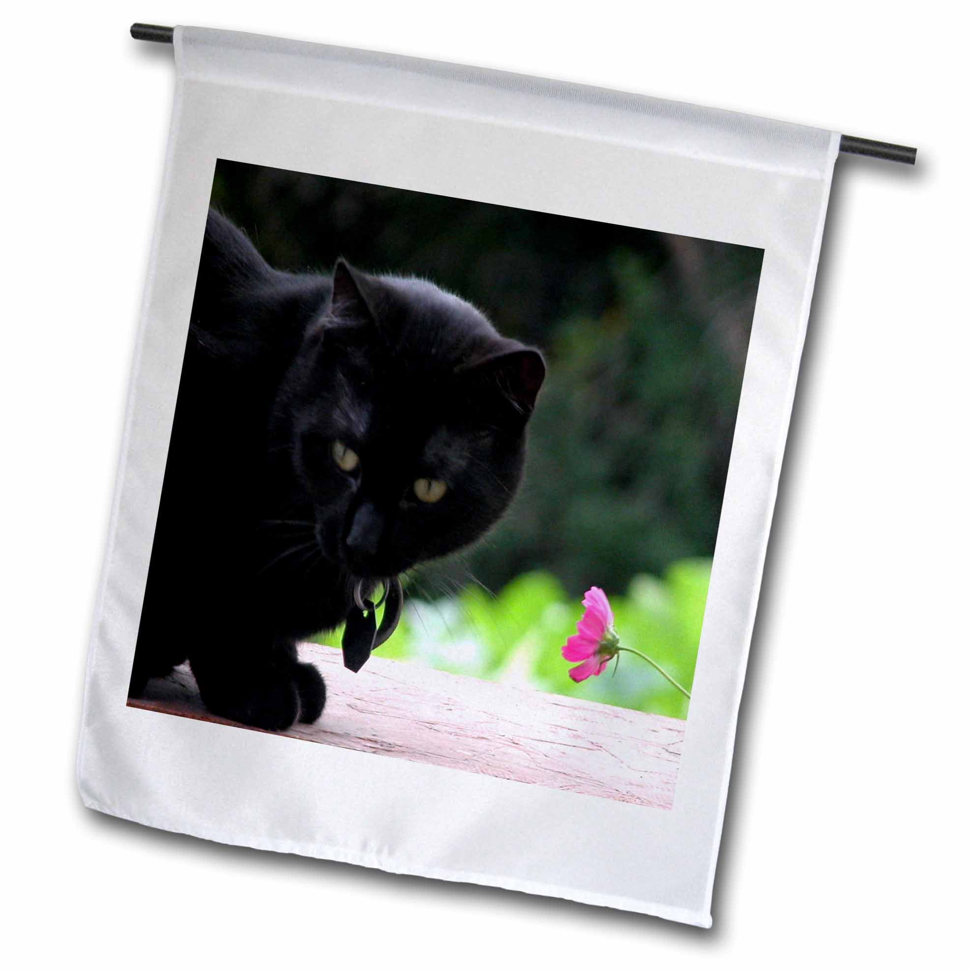 3dRose Black Cat with Flower - Garden Flag, 12 by 18-inch - Walmart.com