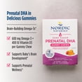 thumbnail image 4 of Nordic Naturals Zero Sugar Prenatal Gummy Chews - 27 Count, 4 of 8